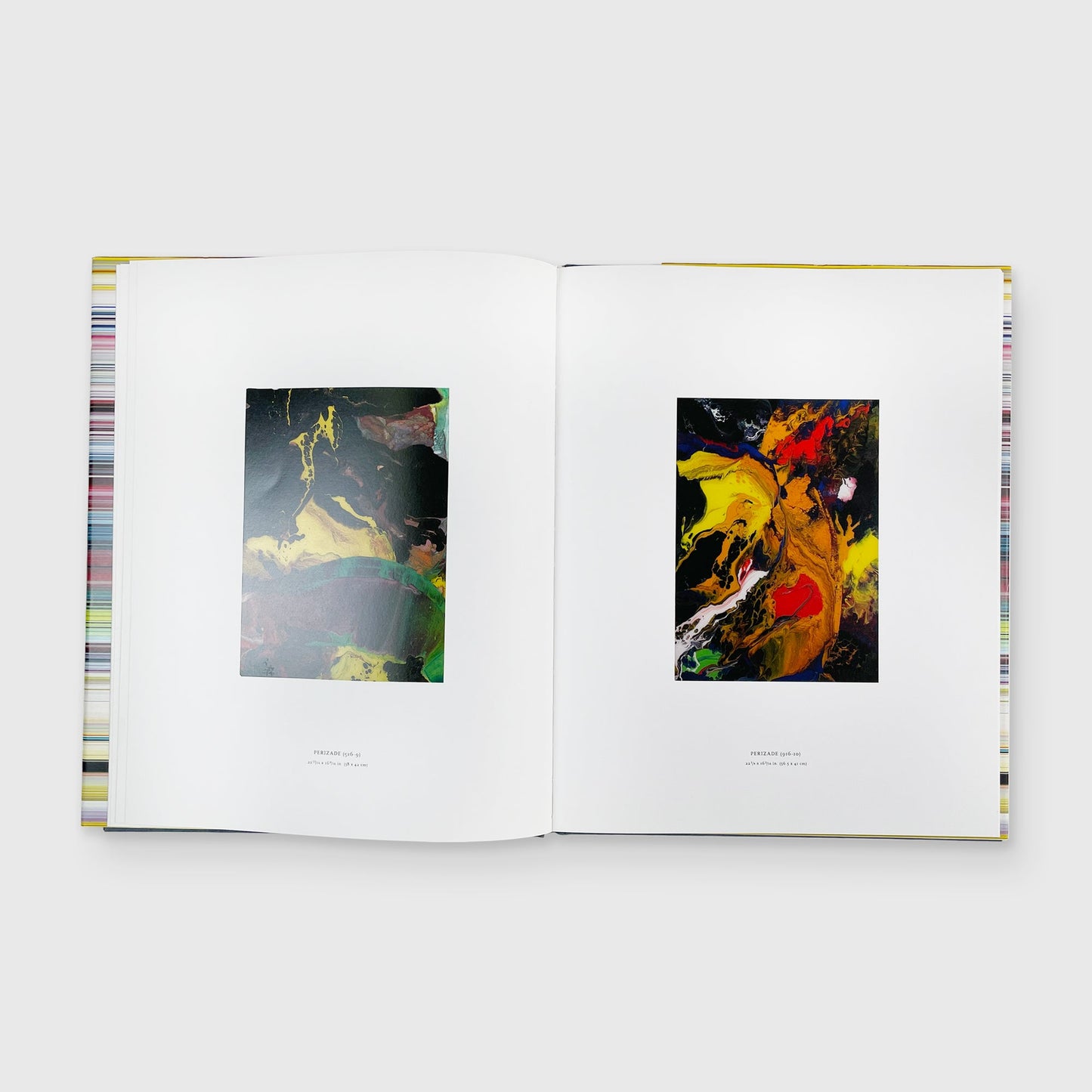 Gerhard Richter: Painting 2010-2011