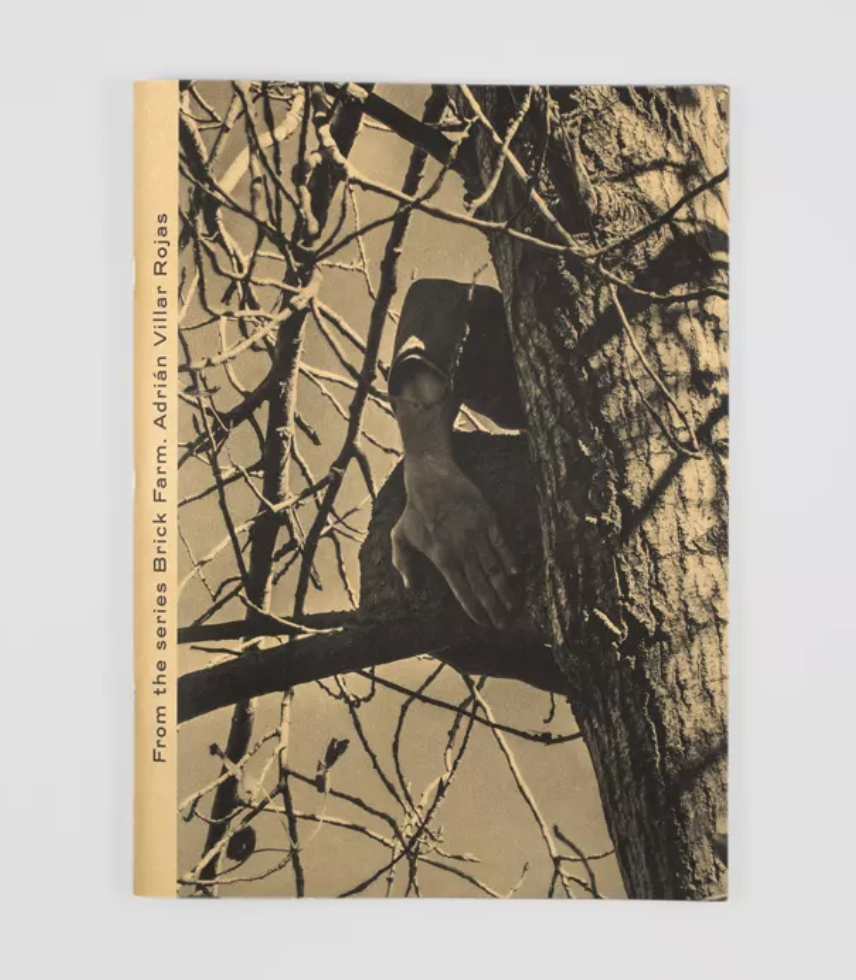 Adrián Villar Rojas: From the Series Brick Farm