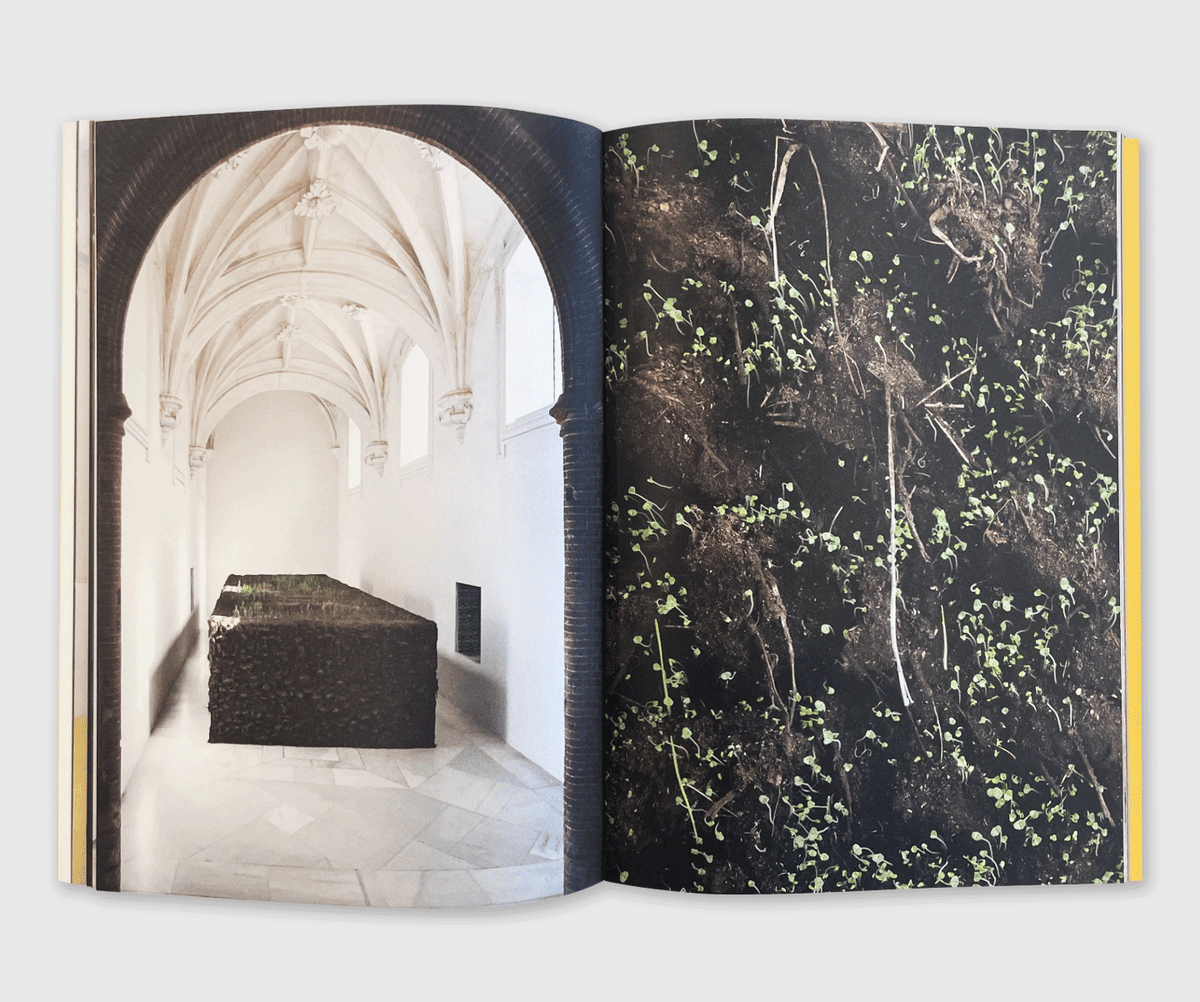 Delcy Morelos: Profundis
